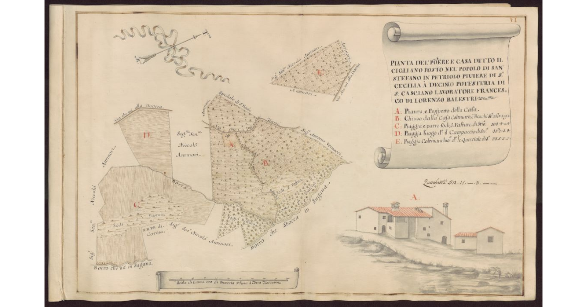 Pianta del Podere e casa detto Il Cigliano posto nel Popolo di San Stefano in Petriolo Piviere di S. Cecilia a Decimo Potesteria di S. Casciano