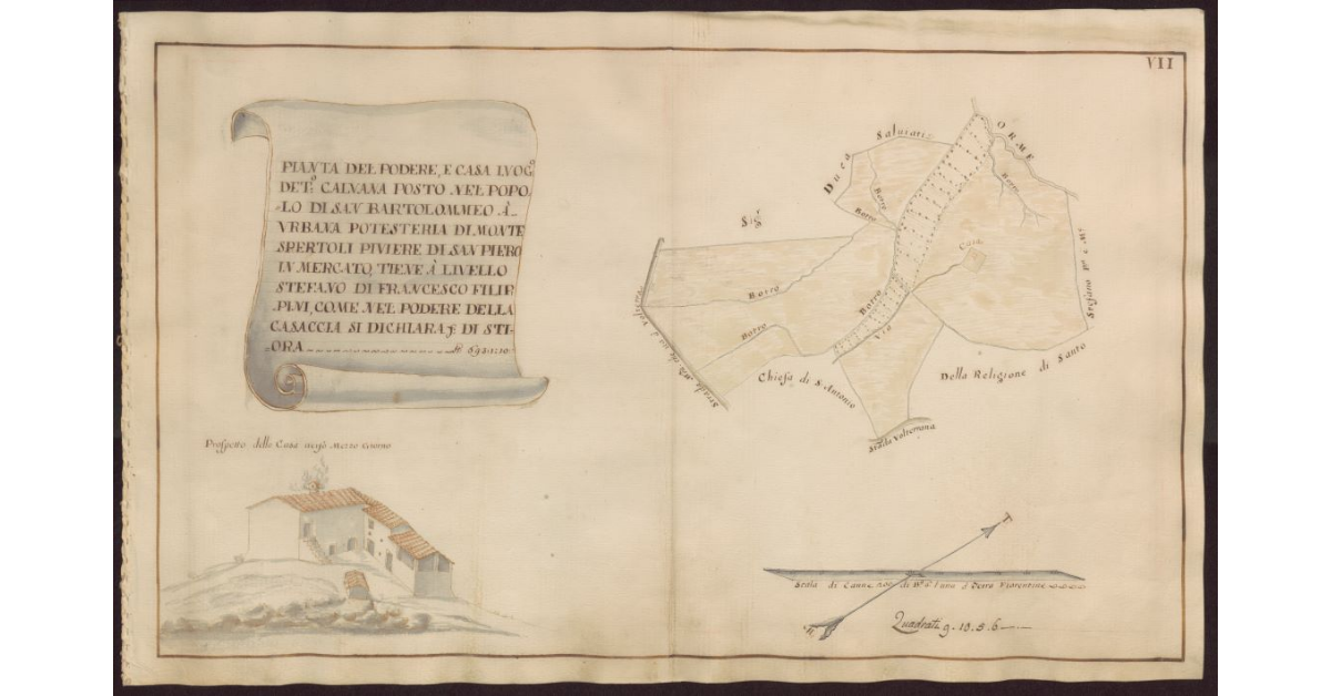Pianta del Podere e casa luogo detto Calvana posto nel Popolo di S. Bartolommeo a Urbana Potesteria di Montespertoli Piviere di S. Piero in Mercato