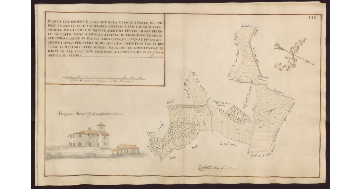Pianta del Podere e casa detto la Casaccia posto nel Popolo di Santo Vito a Ortimino annesso a S. Chirico alle Sodole Potesteria di Montespertoli Piviere di S. Piero in Mercato