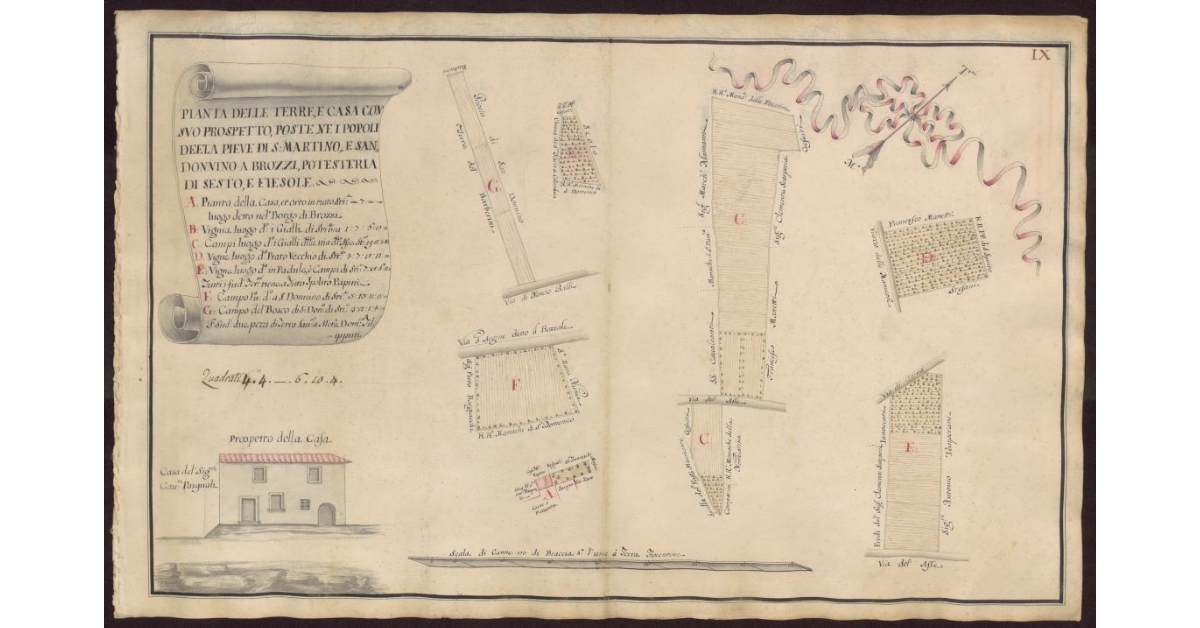 Pianta delle terre e casa con suo prospetto poste nei Popoli della Pieve di S. Martino e San Donnino a Brozzi Potesteria di Sesto e Fiesole