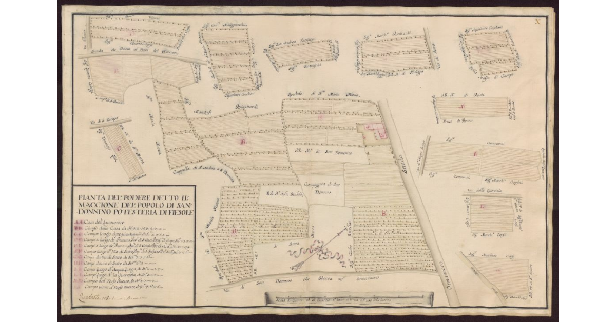Pianta del Podere detto Il Maccione del Popolo di San Donnino Potesteria di Fiesole