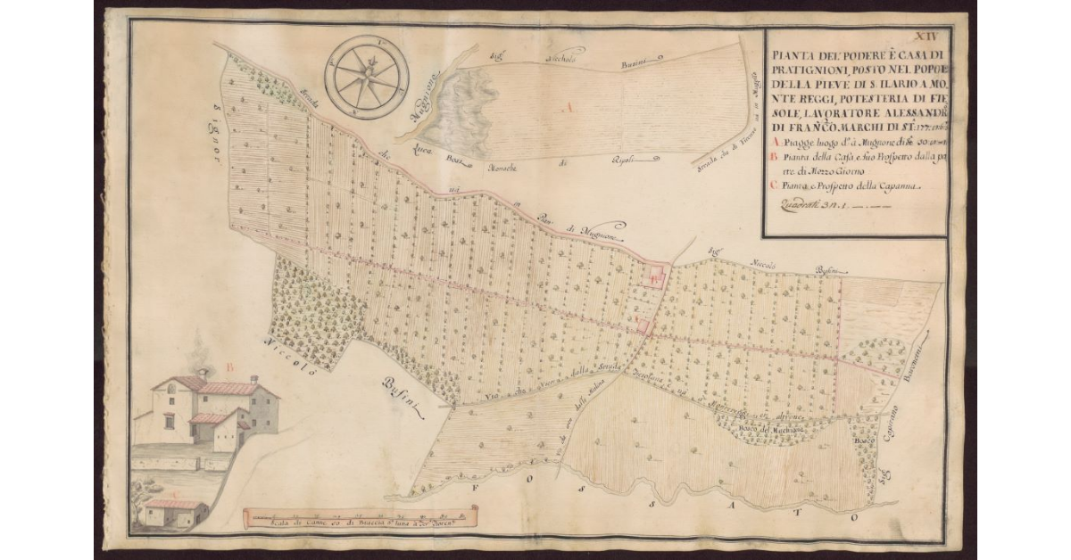 Pianta del Podere e casa di Pratignioni, posto nel Popolo della Pieve di S. Ilario a Monte Reggi Potesteria di Fiesole