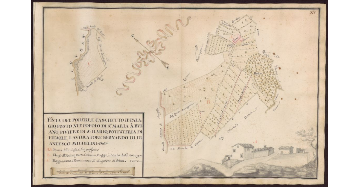 Pianta del Podere e casa detto Il Palagio posto nel Popolo di S. Maria a Buiano, Piviere di S. Ilario, Potesteria di Fiesole