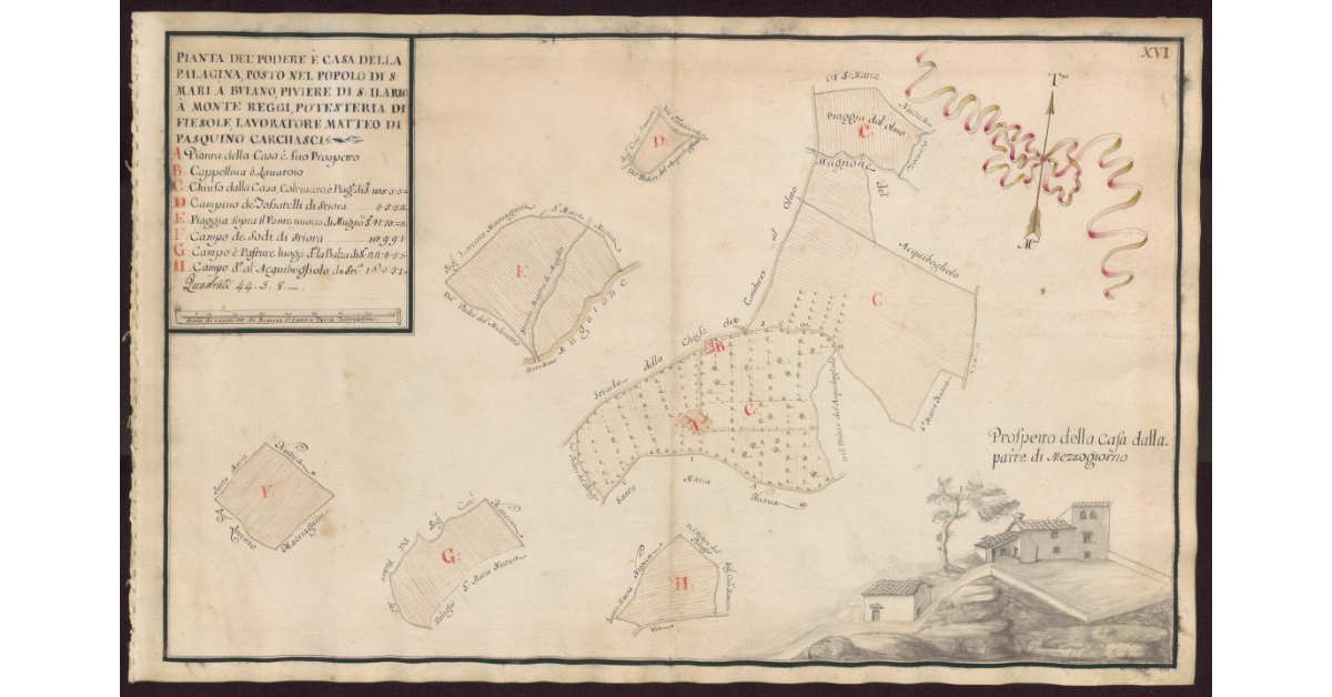 Pianta del Podere e casa della Palagina, posto nel Popolo di S. Maria a Buiano, Piviere di S. Ilario a Monte Reggi, Potesteria di Fiesole