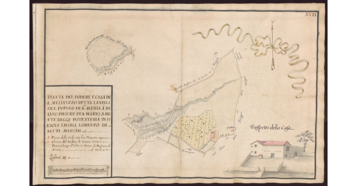 Pianta del Podere e casa del Mulinuzzo detta La Villa del Popolo di S. Maria a Buiano Piviere di S. Ilario a Monte Reggi Potesteria di Fiesole