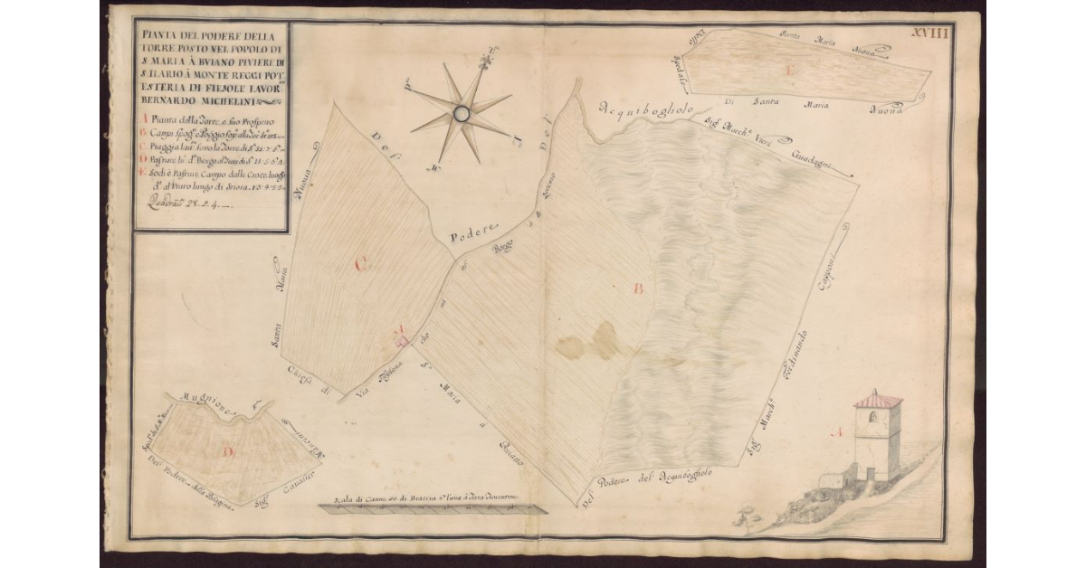 Pianta del Podere della Torre posto nel Popolo di S. Maria a Buiano Piviere di S. Ilario a Monte Reggi Potesteria di Fiesole
