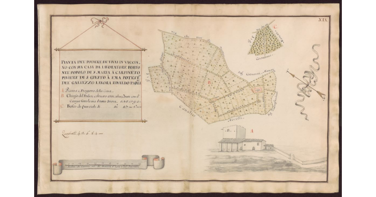 Pianta del Podere de Vivai in Vacciano con sua casa da lavoratore posto nel Popolo di S. Maria a Carpineto Piviere di S. Giusto a Ema Potesteria del Galluzzo