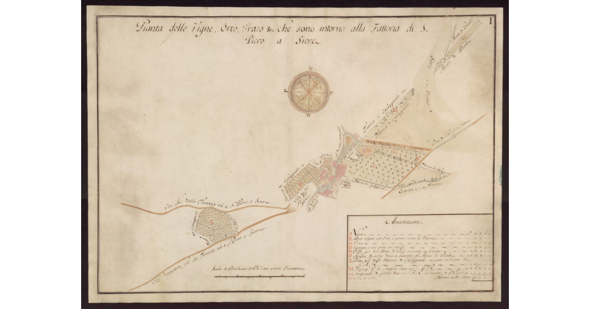 Pianta delle vigne, orto, ecc. che sono intorno alla Fattoria di S. Piero a Sieve