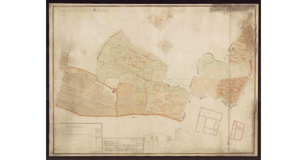 Pianta del Podere di Belvedere