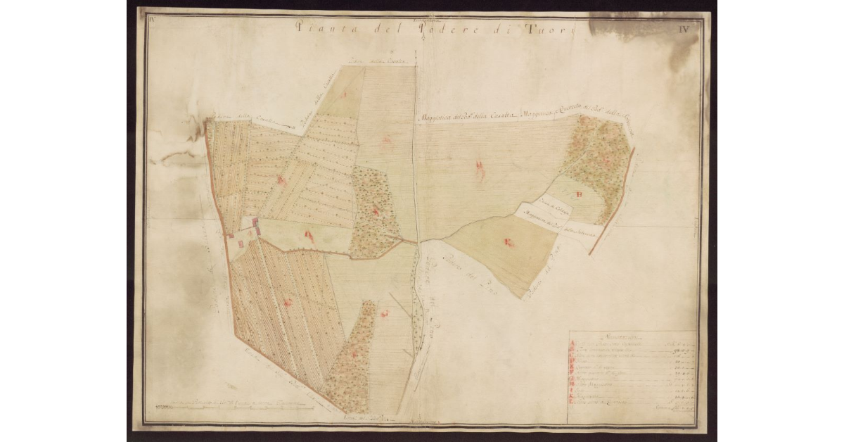 Pianta del Podere di Tuori