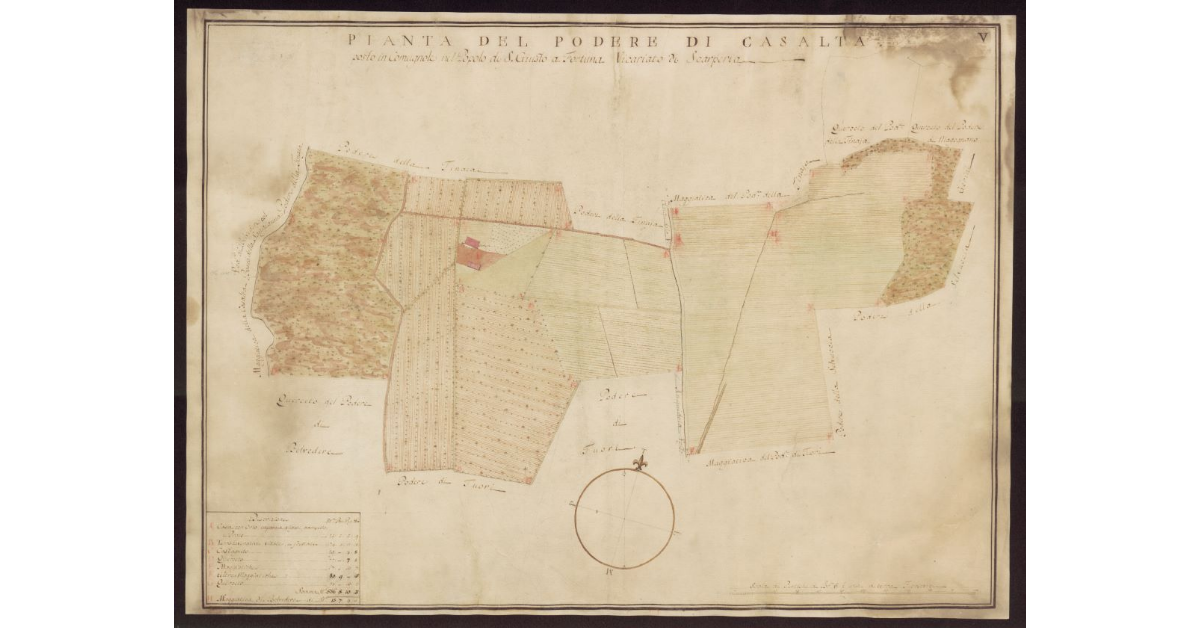 Pianta del Podere di Casalta posto in Comugnole, nel Popolo di S. Giusto a Fortuna Vicariato di Scarperia