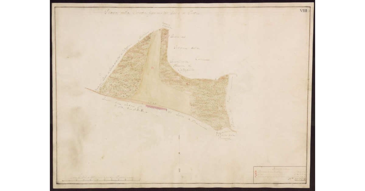 Pianta della Cerreta superiore del Bosco a Frati