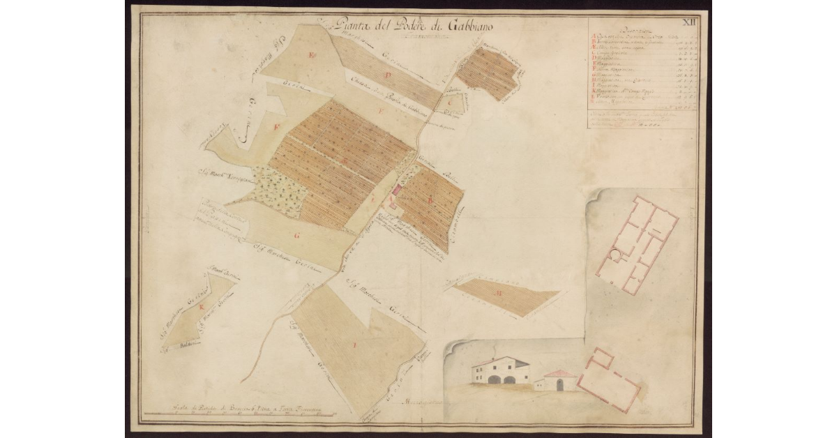 Pianta del Podere di Gabbiano