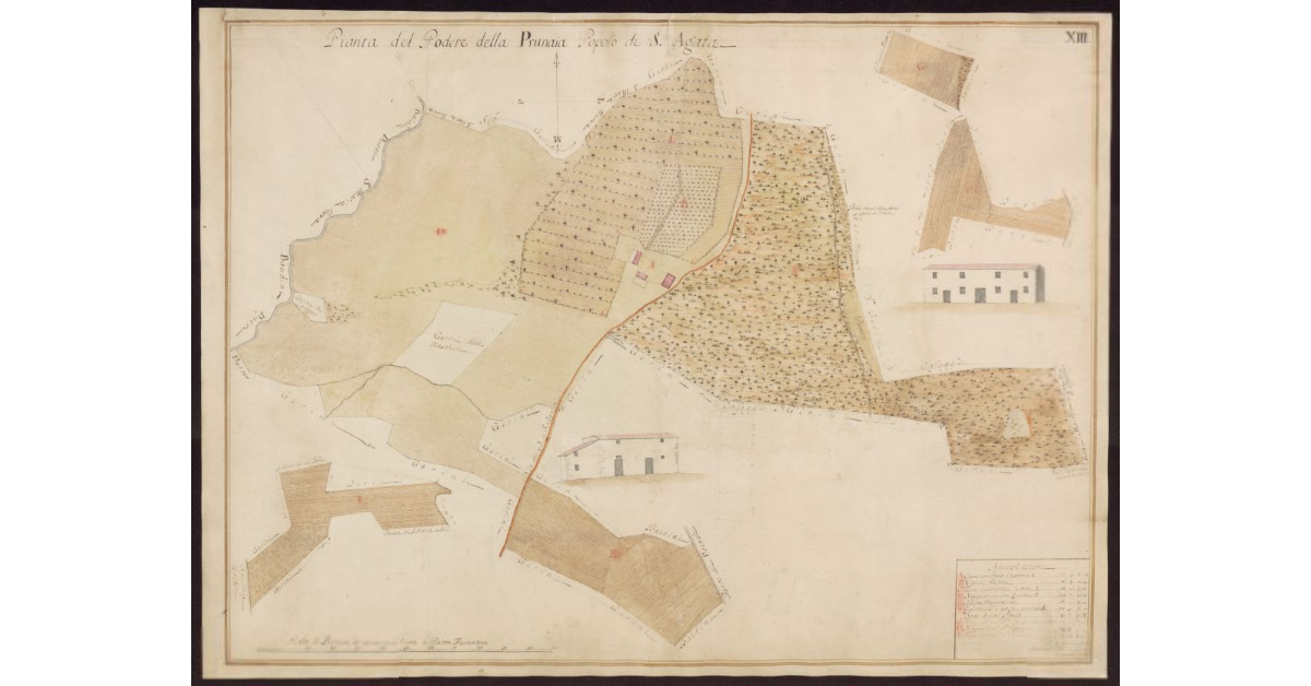 Pianta del Podere della Prunaia Popolo di S. Agata [del Mugello]