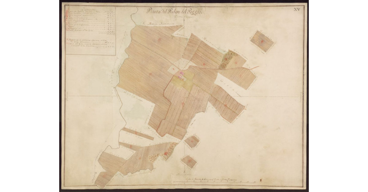 Pianta del Podere del Poggio