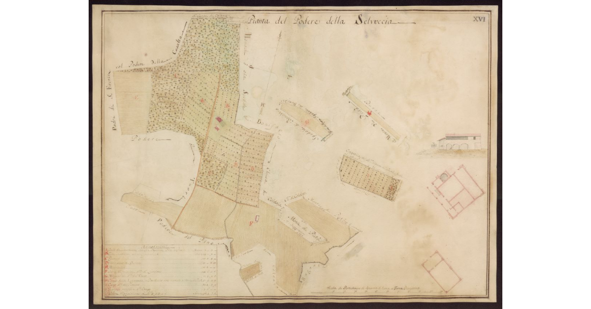 Pianta del Podere della Selvuccia