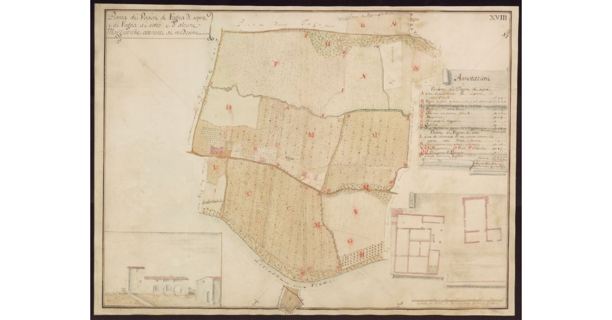 Pianta de Poderi di Fagna di Sopra, e di Fagna di Sotto, e d'alcune maggiatiche attenenti ai medesimi