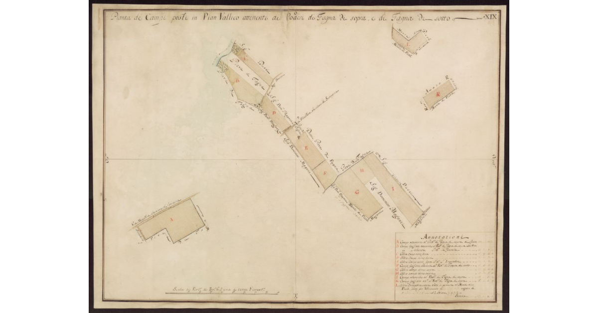 Pianta de campi posti in Pian Vallico attenenti ai Poderi di Fagna di Sopra e di Fagna di Sotto