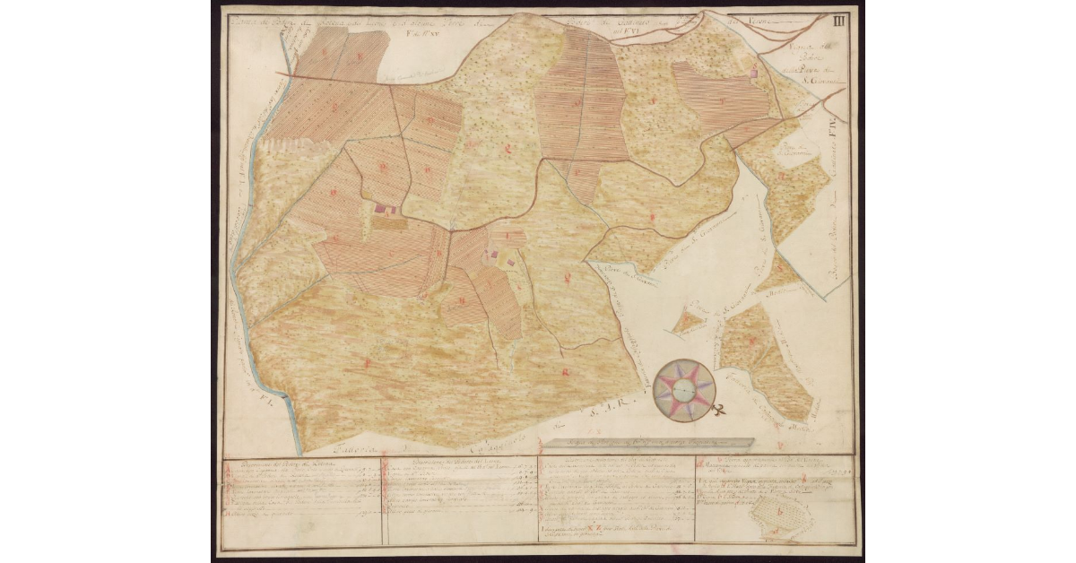 Pianta de' Poderi di Rotona e di Leone e d'alcune terre de' Poderi di Gattineto e del Verone