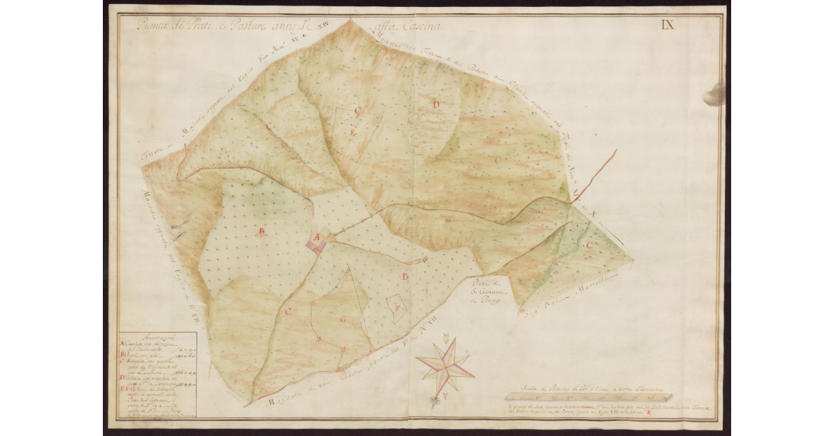 Pianta de prati e pasture annesse alla Cascina