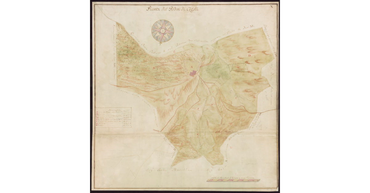 Pianta del Podere di Cigoli