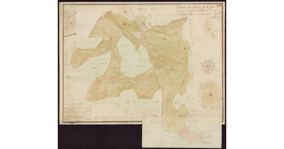 Pianta del Podere di Cupo posto nel Popolo di S. Michele a Cupo annesso a S. Stefano a Selciano Potesteria di Campi