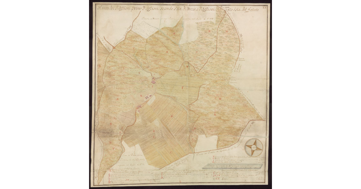 Pianta dei [poderi] d'Aglioni Primo d'Aglioni Secondo o sia di Mezzo, e d'Aglioni Terzo o sia del Fossato