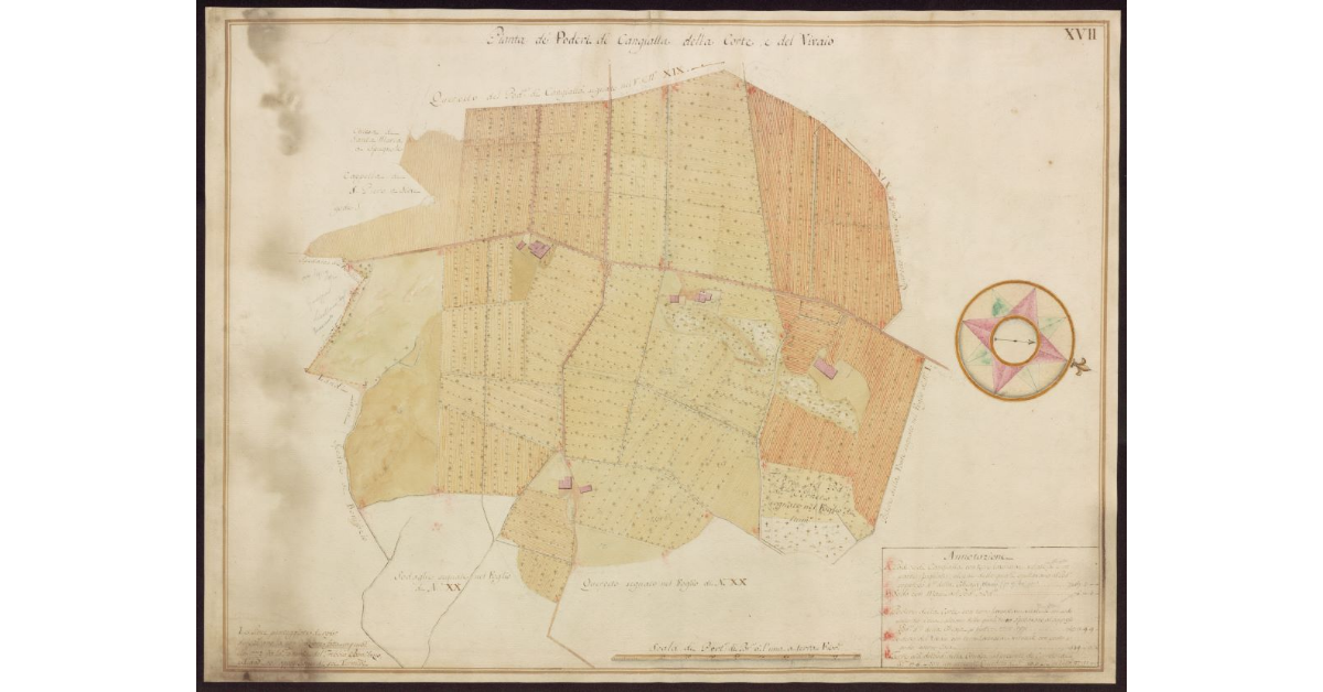 Pianta de Poderi di Cangialla, della Corte e del Vivaio