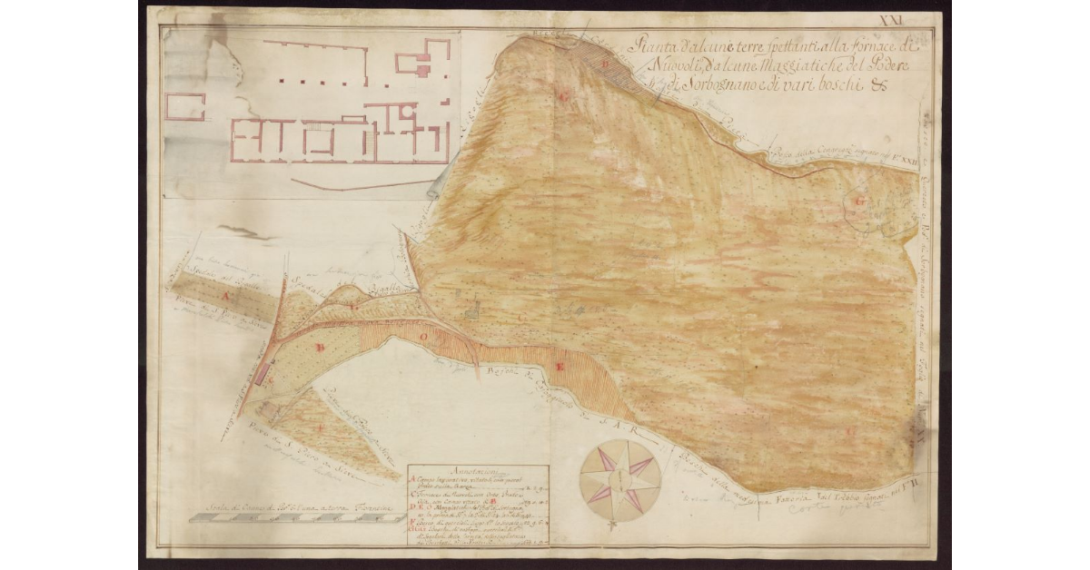 Pianta d'alcune terre spettanti alla fornace di Nuovoli d'alcune maggiatiche del Podere di Sorbognano e di vari boschi