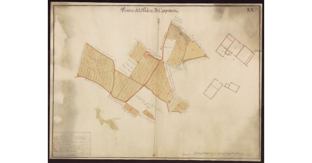 Pianta del Podere di Carpineto