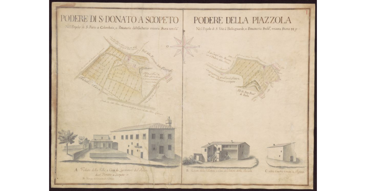 Podere di S. Donato a Scopeto [e] Podere della Piazzola