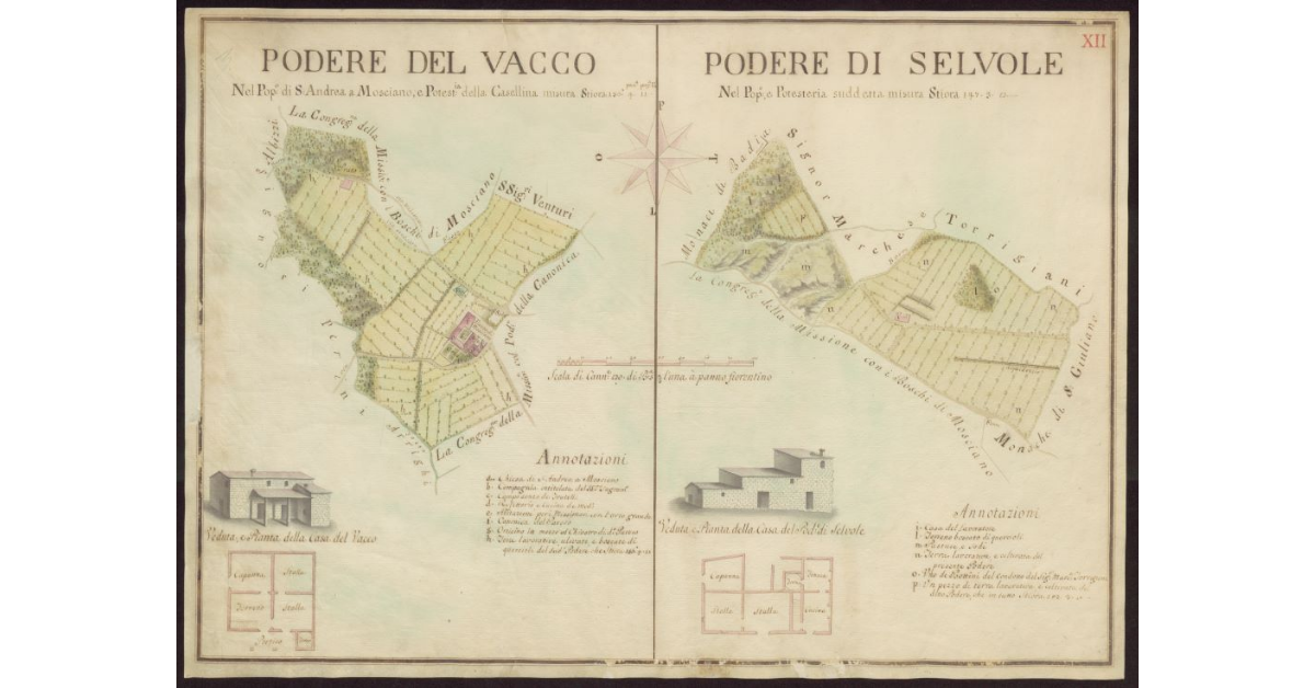 Podere del Vacco [e] Podere di Selvole