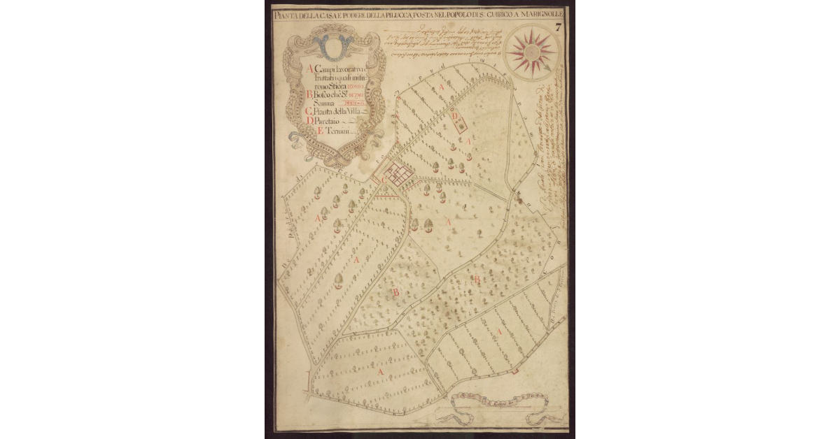 Pianta della casa e Podere della Pilucca, posta nel Popolo di S. Quirico a Marignolle