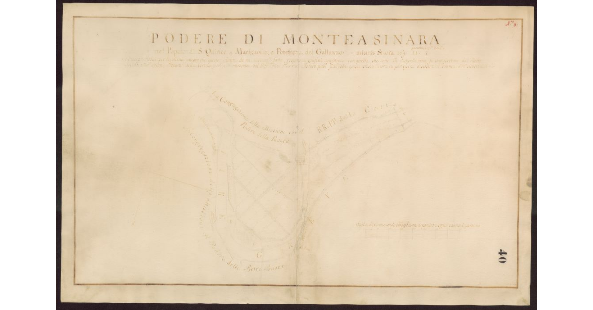 Podere di Monteasinara nel Popolo di S. Quirico a Marignolle, e Potesteria del Galluzzo