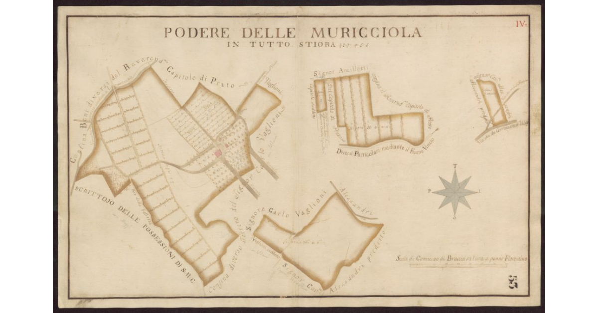 Podere delle Muricciola
