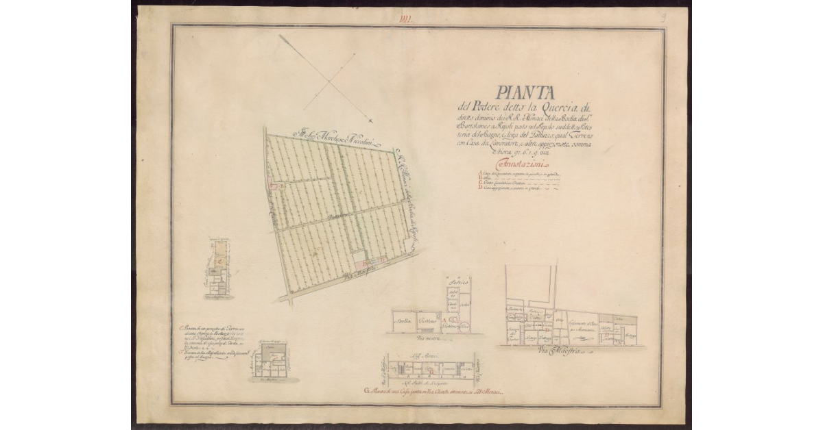 Pianta del Podere detto la Quercia