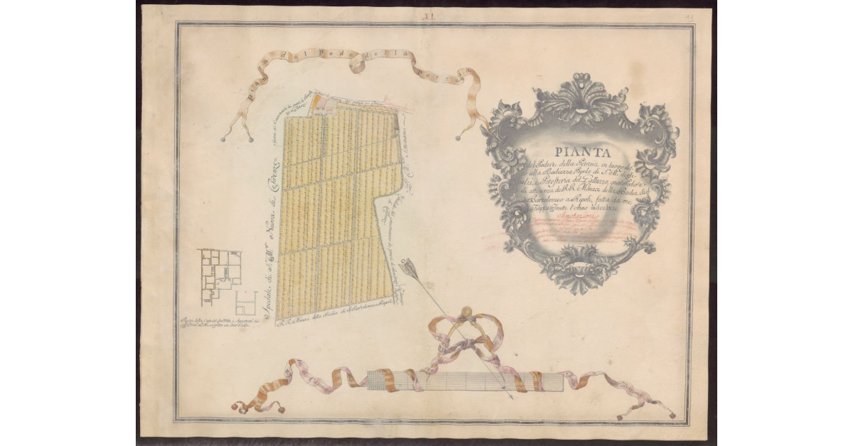 Pianta del Podere della Petraia in luogo detto alla Badiuzza, Popolo di S. Maria degli Scalzi, e Potesteria del Galluzzo
