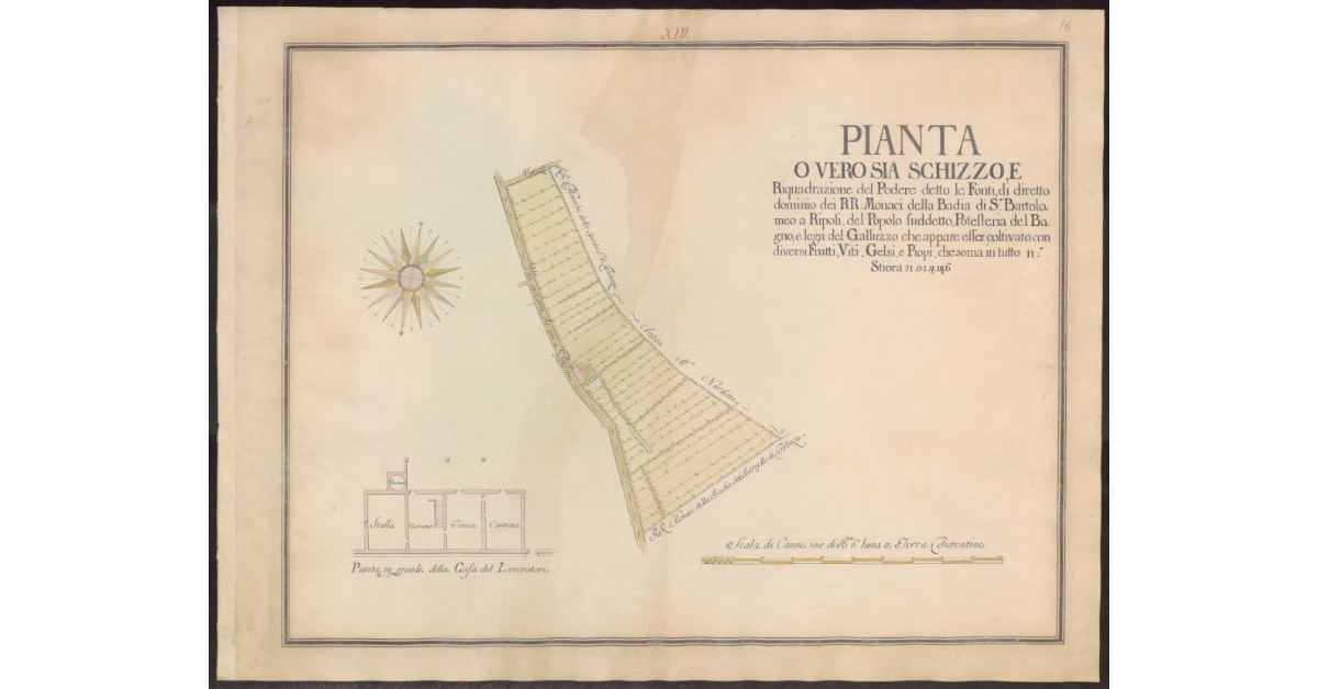 Pianta o vero sia schizzo e riquadrazione del Podere detto Le Fonti di diretto dominio dei RR. Monaci della Badia di S. Bartolomeo a Ripoli