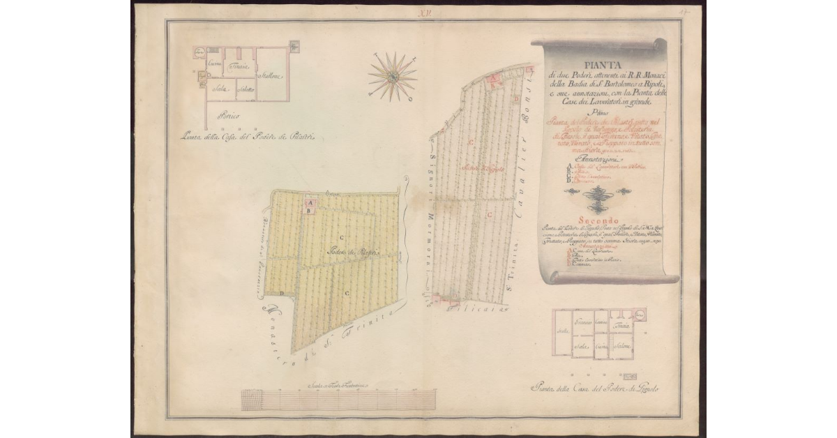 Pianta di due poderi [dei Pilastri nel Popolo di Varlungo e di Gignolo nel Popolo di S. Maria a Querciano] attenenti ai RR. Monaci della Badia di S. Bartolomeo a Ripoli