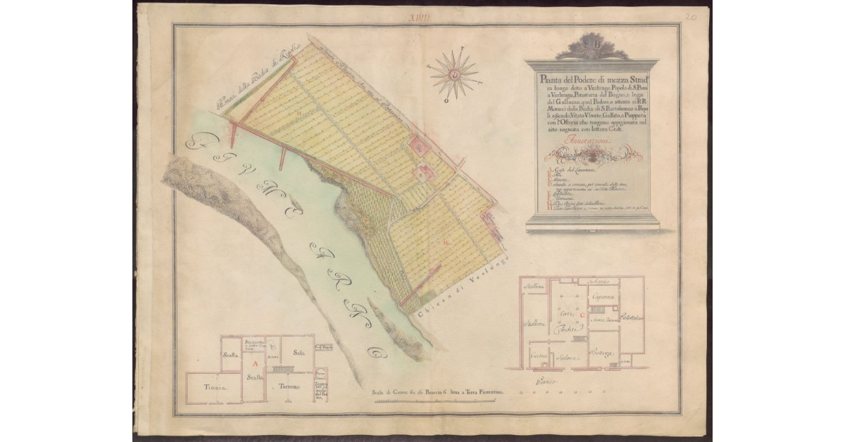 Pianta del Podere di Mezza Strada luogo detto a Varlungo Potesteria del Bagno e Lega del Galluzzo