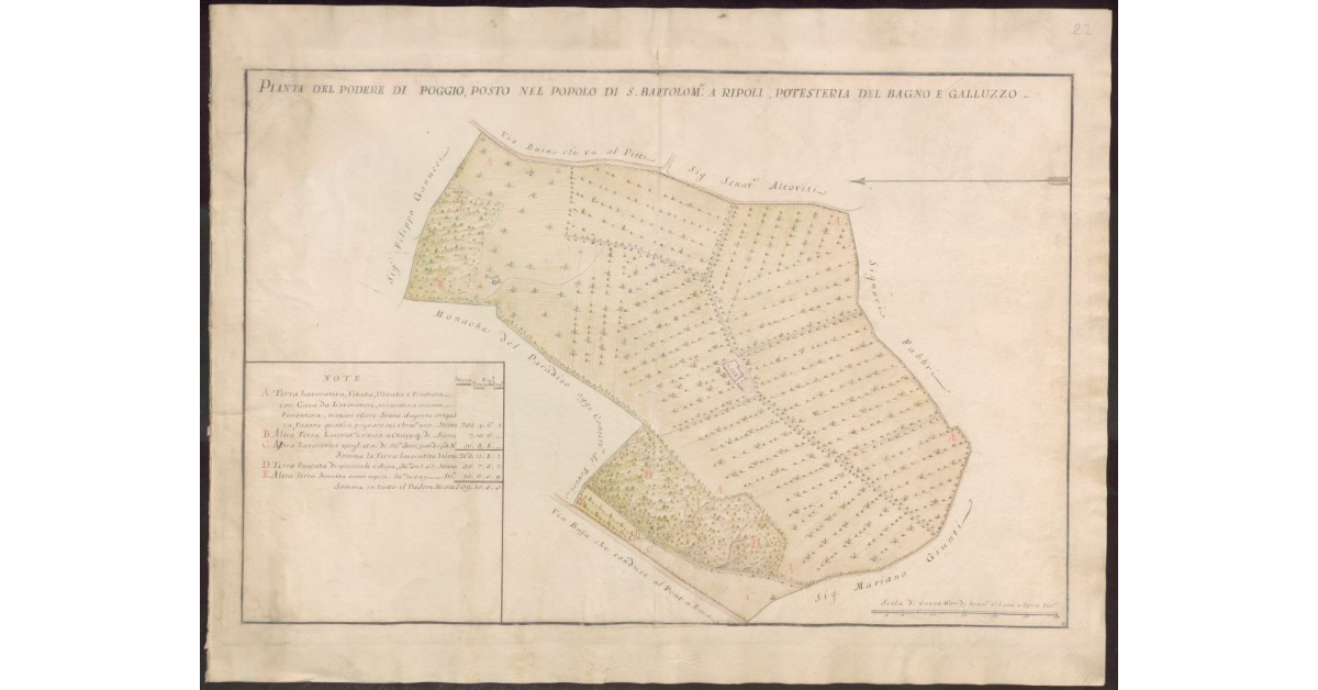 Pianta del Podere di Poggio posto nel Popolo di S. Bartolomeo a Ripoli, Potesteria del Bagno e Galluzzo