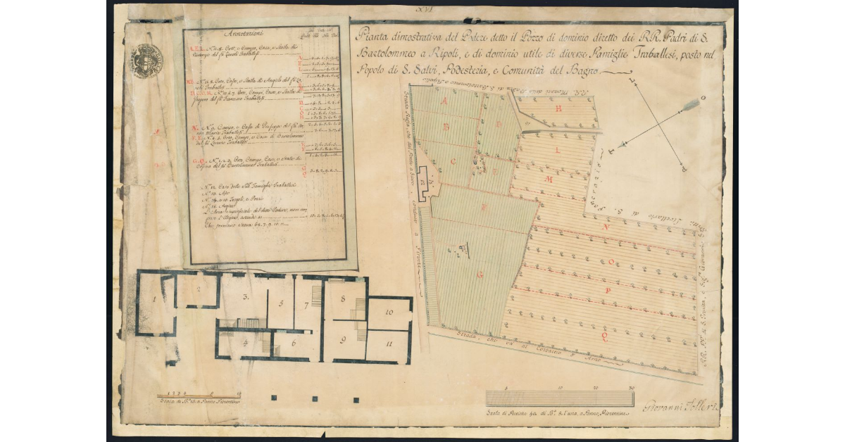 Pianta dimostrativa del Podere detto Il Pozzo [...] posto nel Popolo di S. Salvi, Podesteria e Comunità del Bagno