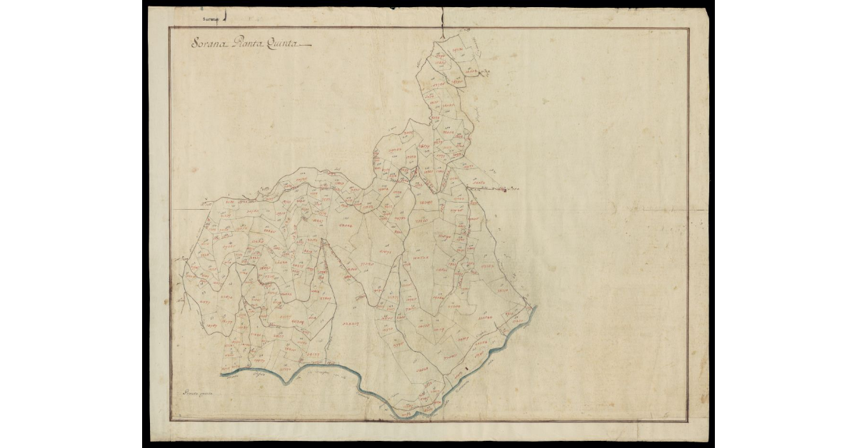 Sorana pianta quinta