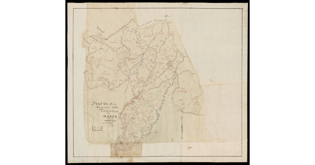Pianta sesta d'una parte della Comunità di Massa