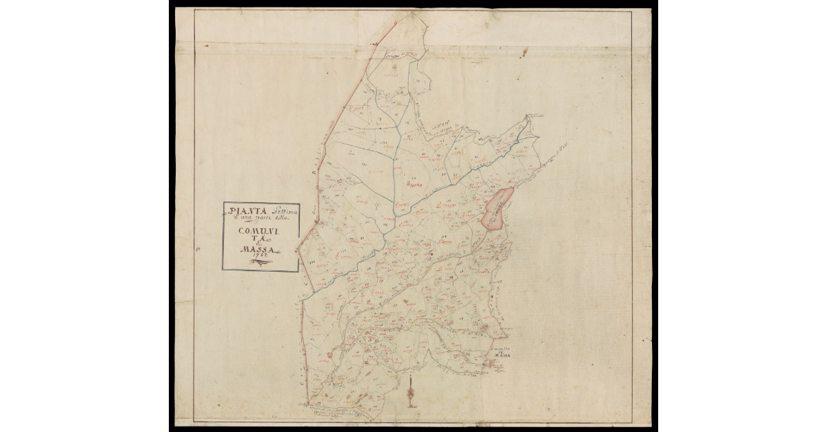 Pianta settima d'una parte della Comunità di Massa
