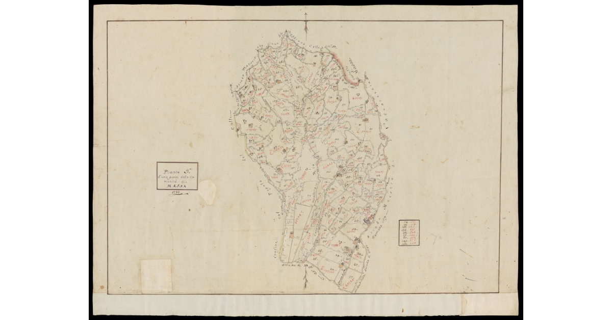 Pianta 9a d'una parte della Comunità di Massa