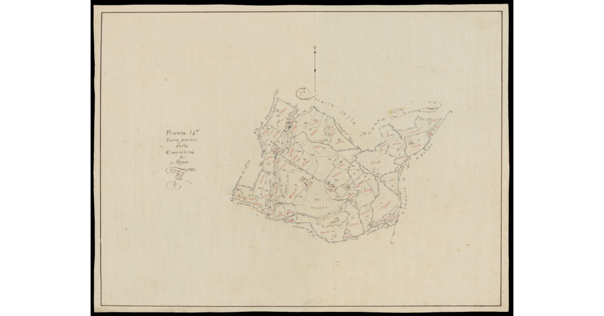 Pianta 14a d'una parte della Comunità di Massa