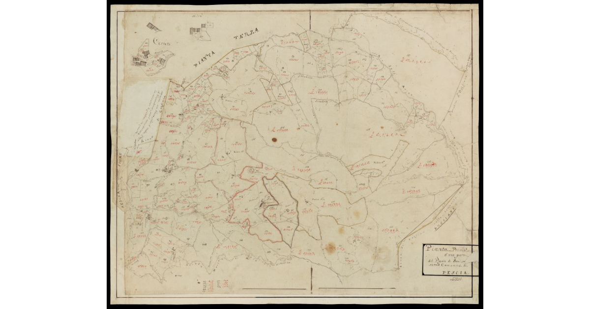 Pianta prima d'una parte del Popolo di San Lorenzo Comunità di Pescia