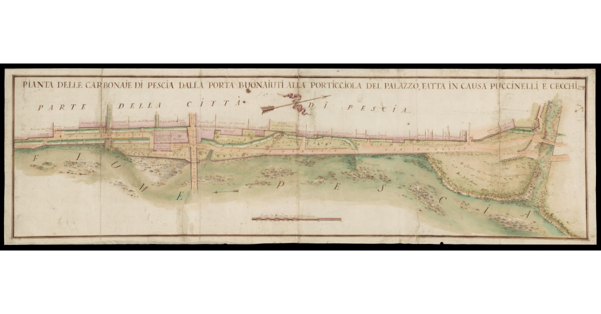 Pianta delle carbonaie di Pescia dalla Porta Buonaiuti alla Porticciola del Palazzo, fatta in causa Puccinelli e Cecchi