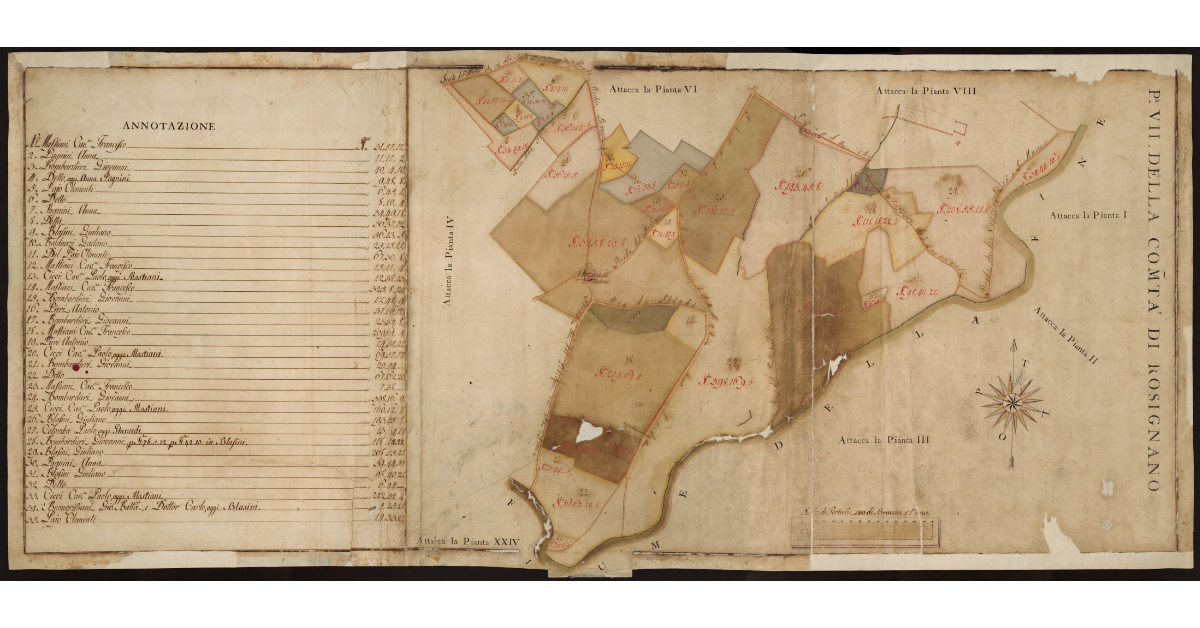 P[ianta] VII della Comunità di Rosignano